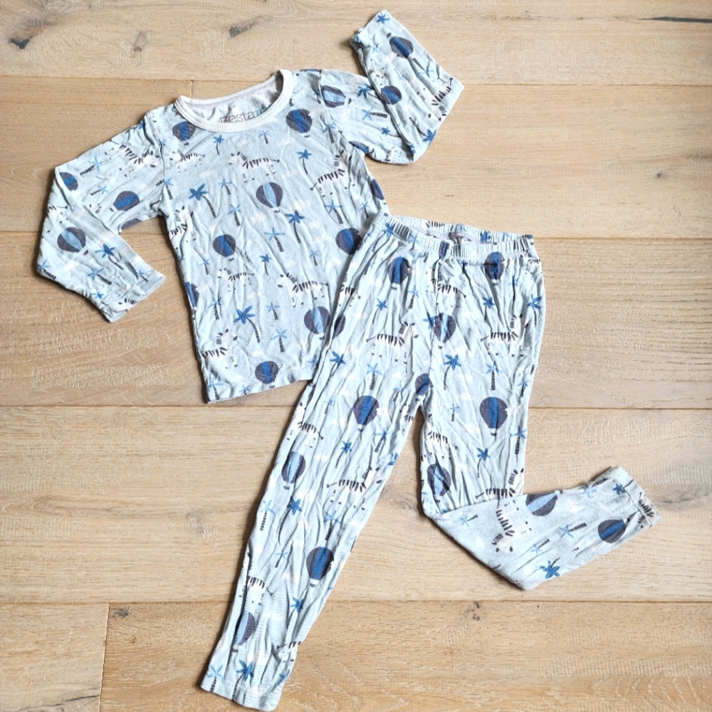 BESTAROO Zebra Pajamas Blue Long Sleeve 2/3T